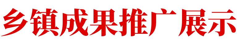 乡镇成果推广展示